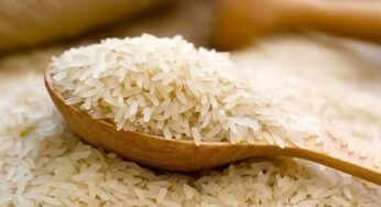 Parboiled Rice : ఉప్పుడు బియ్యం తిన‌డం వ‌ల్ల ఎన్ని లాభాలు క‌లుగుతాయో తెలుసా.. ఎవ‌రెవ‌రికి మంచిది అంటే..?