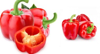 Red Capsicum : ఎరుపు రంగు క్యాప్సిక‌మ్‌తో ఎన్ని ప్ర‌యోజ‌నాలో తెలుసా.. అస‌లు విడిచిపెట్ట‌రు..!