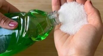 Detergent With Salt : డిట‌ర్జెంట్‌, ఉప్పు.. రెండూ క‌లిపి వాడితే.. ఊహించ‌ని ఫ‌లితాలు..!