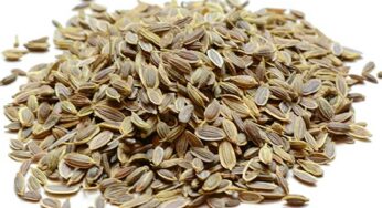 Dill Seeds : ఈ గింజ‌లు ఎక్క‌డ క‌నిపించినా స‌రే వ‌ద‌లొద్దు.. లాభాలు తెలిస్తే అస‌లు విడిచిపెట్ట‌రు..!