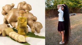 Ginger Oil For Hair : జుట్టు పెరుగుద‌ల‌లో దీనికి పోటీ అస‌లు ఏదీ లేదు.. ఒక్క‌సారి వాడితే చాలు..!