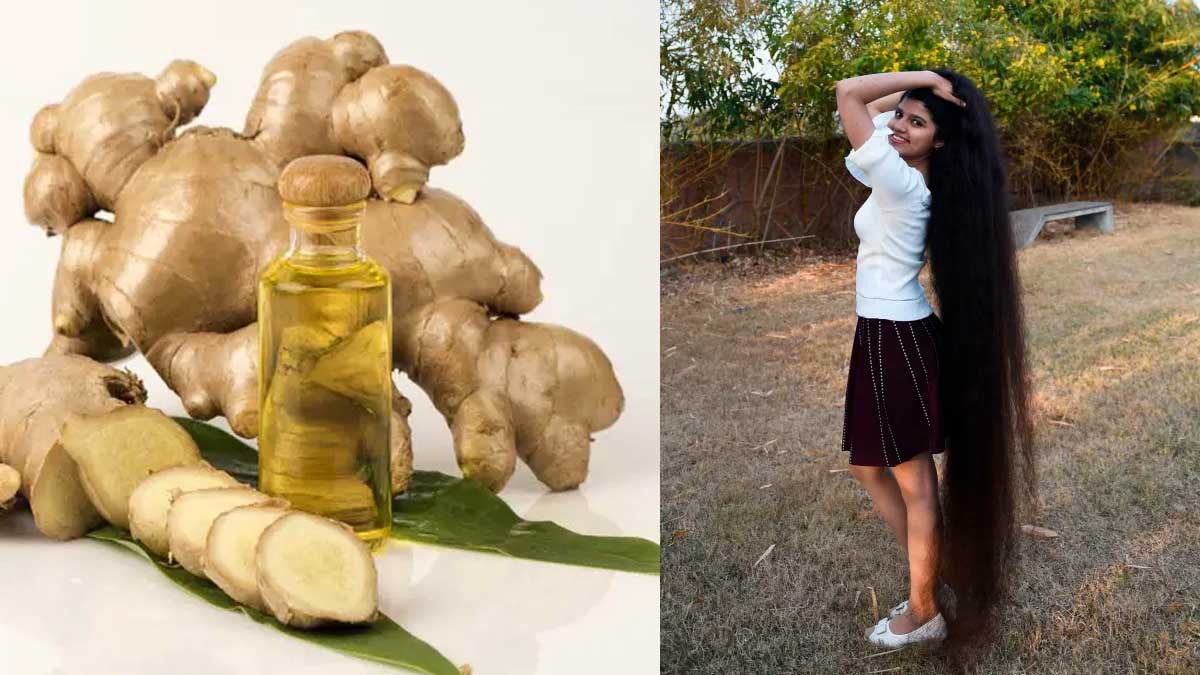 Ginger Oil For Hair జుట్టు పెరుగుద‌ల‌లో దీనికి పోటీ అస‌లు ఏదీ లేదు
