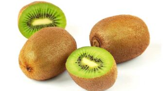 Kiwi Fruit : కివీ పండు మంచిద‌ని చెప్పి అధికంగా తింటున్నారా.. అయితే జాగ్ర‌త్త‌..!