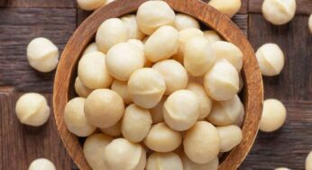 Macadamia Nuts : రోజూ 4, 5 చాలు.. కొలెస్ట్రాల్‌, షుగ‌ర్‌, అధిక బ‌రువు అన్నీ త‌గ్గిపోతాయి..!