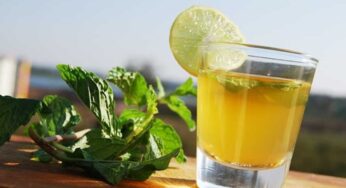 Mint Leaves Lemon Tea : దీన్ని తాగితే చాలు.. ట‌న్నుల కొద్దీ ఇమ్యూనిటీ మీ సొంతం.. ఏ రోగాలు ఏమీ చేయ‌లేవు..!