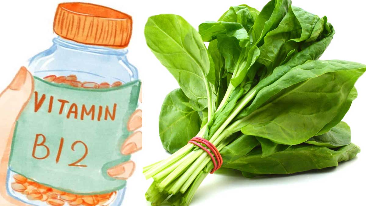 Spinach For Vitamin B12 ఈ కూర‌లో విట‌మిన్ బి12 ట‌న్నులు ట‌న్నులు