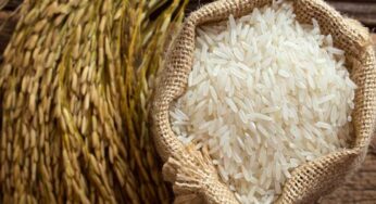 Basmati Rice : బాస్మ‌తి రైస్‌ను తిన‌డం వ‌ల్ల ఎన్ని అద్భుత‌మైన ప్ర‌యోజ‌నాలు క‌లుగుతాయో తెలుసా..?