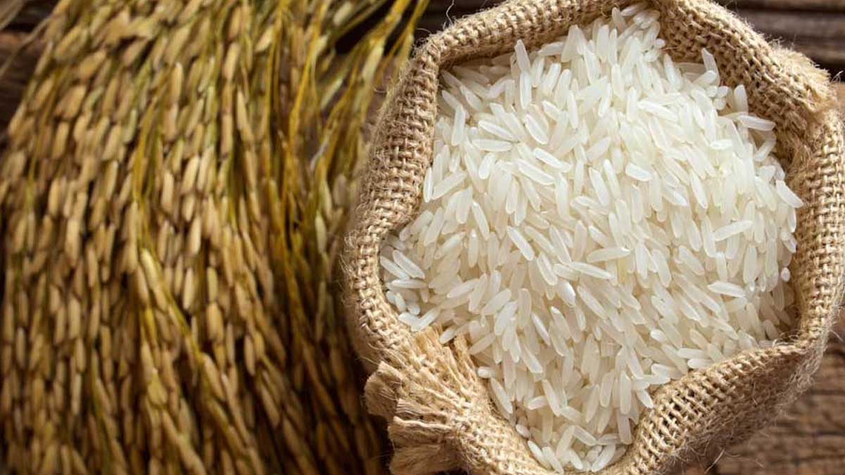 Basmati Rice : బాస్మ‌తి రైస్‌ను తిన‌డం వ‌ల్ల ఎన్ని అద్భుత‌మైన ప్ర‌యోజ ...