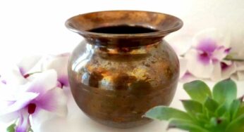 Copper Vessel Water : ఈ నీళ్ల‌ను రోజూ ప‌ర‌గ‌డుపునే తాగితే చాలు.. 100 రోగాలు జీవితంలో రావు..!