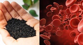 Iron Foods For Anemia : ర‌క్త‌హీన‌త ఉన్న‌వారు వీటిని తింటే ర‌క్తం ఫుల్‌గా ప‌డుతుంది..!