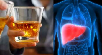 Liver Clean After Drinking : మ‌ద్యం ఎంత తాగినా స‌రే దీన్ని తీసుకుంటే లివ‌ర్ మొత్తం క్లీన్ అవుతుంది..!