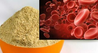 Mango Powder For Anemia : ఒక్క‌సారి ఇది తింటే చాలు.. 3 లీట‌ర్ల బ్ల‌డ్ అమాంతం పెరుగుతుంది..!