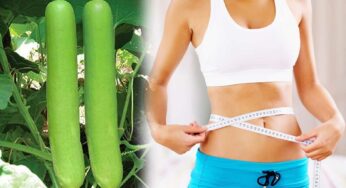 Bottle Gourd For Weight Loss : సొర‌కాయ‌తో ఇలా జ్యూస్ త‌యారు చేసి తాగండి.. మీ బ‌రువులో సగం ఈజీగా త‌గ్గుతారు..!