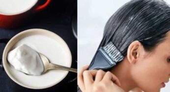 Curd For Hair : పెరుగుతో ఇలా చేస్తే చాలు.. జుట్టు రాల‌డం త‌గ్గి ఒత్తుగా పెరుగుతుంది..!