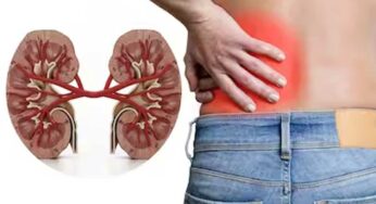 Kidney Disease Symptoms : ఈ 10 ల‌క్ష‌ణాలు క‌నిపిస్తున్నాయా.. అయితే మీ కిడ్నీలు ప్ర‌మాదంలో ఉన్న‌ట్లే..!