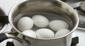 Boil Eggs : కోడిగుడ్ల‌ను అస‌లు ఎలా ఉడ‌క‌బెట్టాలి..?