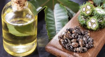 Castor Oil Home Remedies : ఆముదం నూనెతో ఎన్నో ప్ర‌యోజనాలు.. ఎలా ఉప‌యోగించాలో తెలుసా..?