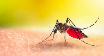 Ayurvedic Remedies For Dengue : డెంగ్యూ జ్వ‌రం త్వ‌ర‌గా త‌గ్గాలంటే.. ఈ ఆయుర్వేద చిట్కాల‌ను పాటించండి..!