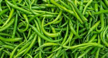 Green Chilli : ప‌చ్చిమిర్చిని అధికంగా తింటే ప్ర‌మాద‌మే.. ఈ స‌మ‌స్య‌ల బారిన ప‌డ‌తారు..!