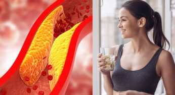 Ayurvedic Remedies For High Cholesterol : కొలెస్ట్రాల్ లెవల్స్‌ను త‌గ్గించే పానీయాలు.. ఉద‌యాన్నే ప‌ర‌గ‌డుపునే తాగాలి..!