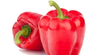 Red Capsicum : ఎరుపు రంగు క్యాప్సికంతో ఎన్నో ఆరోగ్య‌క‌ర‌మైన ప్ర‌యోజ‌నాలు.. తెలిస్తే ఆశ్చ‌ర్య‌పోతారు..!