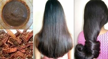 Sheekakai For Hair : మీ జుట్టుకు శీకాకాయ వాడ‌డం వ‌ల్ల ఎలాంటి అద్భుత‌మైన ఫ‌లితాలు క‌లుగుతాయో తెలుసా..?