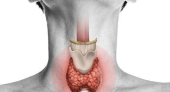 Thyroid Foods : ఈ 4 ఆహారాల‌ను తింటే చాలు.. థైరాయిడ్ కంట్రోల్ అవుతుంది..!