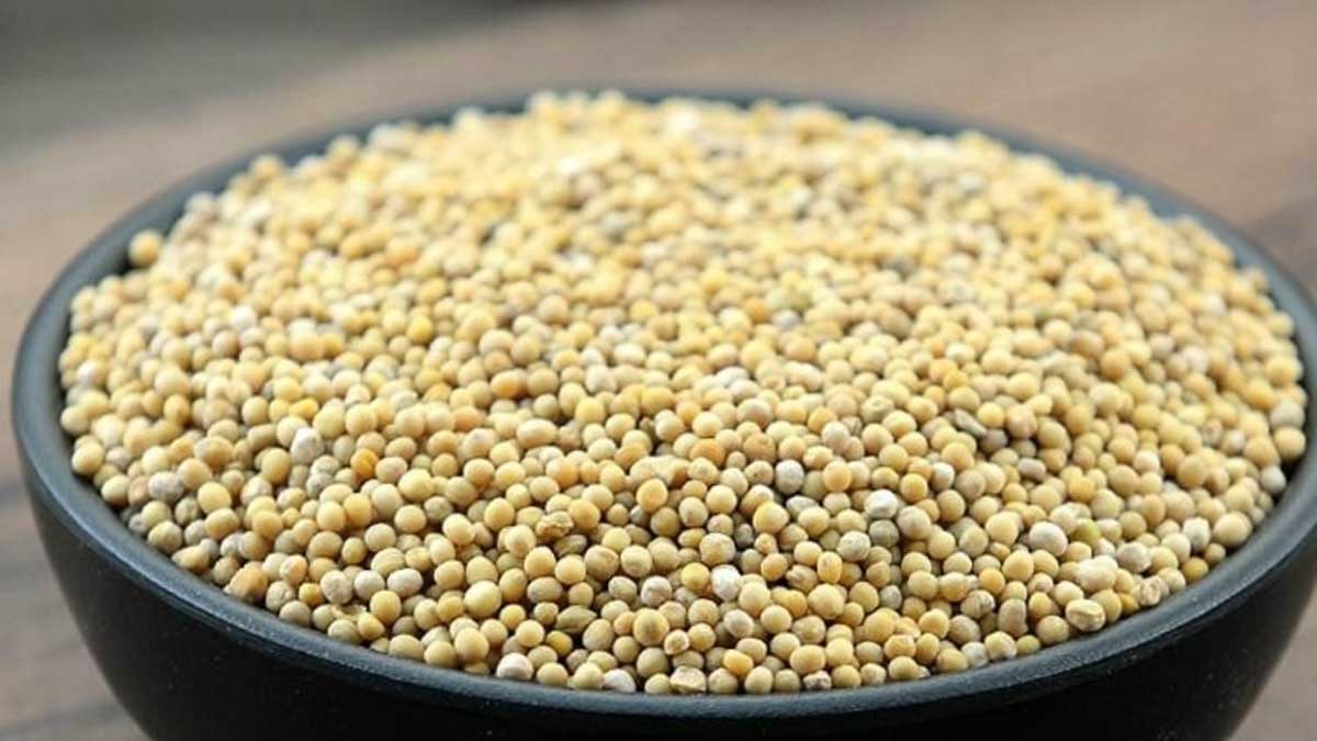 White Mustard Seeds తెల్ల ఆవాల గురించి తెలుసా.. వీటితో ఎన్నో ప్ర‌యోజ