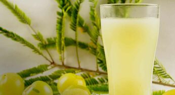 Amla Juice On Empty Stomach : ఉసిరికాయ జ్యూస్‌ను ఉద‌యాన్నే ప‌ర‌గ‌డుపునే తాగ‌వచ్చా..? ఈ జాగ్ర‌త్త‌లు త‌ప్ప‌నిస‌రి..!