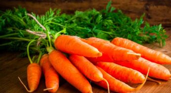 How To Take Carrots : క్యారెట్ల‌ను అస‌లు ఎలా తినాలంటే.. ఇలా తింటే పూర్తి పోష‌కాల‌ను పొంద‌వ‌చ్చు..!