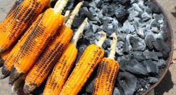 Charcoal Corn Side Effects : దీన్ని తిన‌డం వ‌ల్ల క్యాన్స‌ర్ వ‌స్తుంది జాగ్ర‌త్త‌.. ఎంతోమంది దీని బారిన ప‌డుతున్నారు..