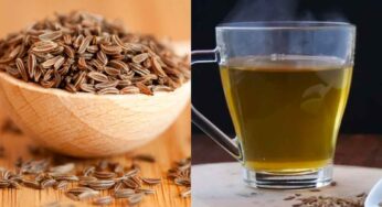 Cumin Water Benefits : రోజూ ఉద‌యాన్నే ఒక్క గ్లాస్ తాగితే చాలు.. ఈ 7 ప్ర‌యోజ‌నాల‌ను పొంద‌వ‌చ్చు..!