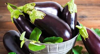 Egg Plant Health Benefits : వంకాయ‌ల‌ను తిన‌డం వ‌ల్ల ఇన్ని ప్ర‌యోజ‌నాలు ఉన్నాయా.. తెలిస్తే ఆశ్చ‌ర్య‌పోతారు..!