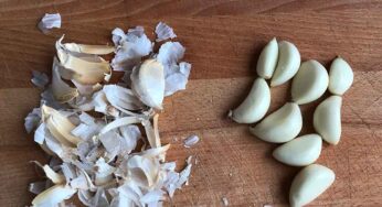 Garlic Peel Benefits : వెల్లుల్లి పొట్టును ప‌డేయ‌కండి.. దాంతో ఎన్ని లాభాలు ఉన్నాయో తెలుసా..?