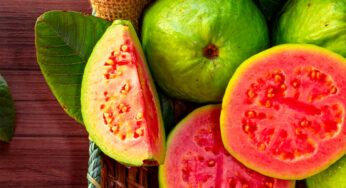 Guava Side Effects : జామ‌పండ్ల‌ను అస‌లు ఎప్పుడు తినాలి.. అధికంగా తింటే ప్ర‌మాదం జాగ్ర‌త్త‌..!