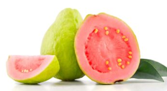 Pink Guava Benefits : ఇలాంటి జామ పండ్ల‌ను రోజుకు ఒక‌టి తినండి చాలు.. హాస్పిట‌ల్‌కు వెళ్లాల్సిన అవ‌స‌ర‌మే రాదు..!