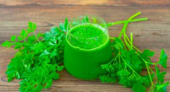 Coriander Juice : కొత్తిమీర జ్యూస్‌ను రోజూ ప‌ర‌గ‌డుపునే తాగాల్సిందే.. ఎందుకో తెలుసా..?