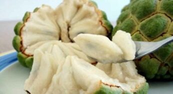 Custard Apple For Lungs : చ‌లికాలంలో సీతాఫ‌లాల‌ను త‌ప్ప‌క తినాలి.. ఎందుకో తెలిస్తే వెంట‌నే తెచ్చి తింటారు..!