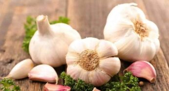 Garlic On Empty Stomach : ప‌ర‌గ‌డుపునే 4 వెల్లుల్లి రెబ్బ‌ల‌ను తింటే ఏం జ‌రుగుతుందో తెలుసా..? టాప్ సీక్రెట్ ఇది..!