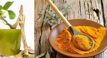 Giloy Turmeric Water : తిప్ప‌తీగ‌ను వారంలో 3 సార్లు ఇలా తీసుకోండి.. చెప్ప‌లేన‌న్ని లాభాలు క‌లుగుతాయి..!