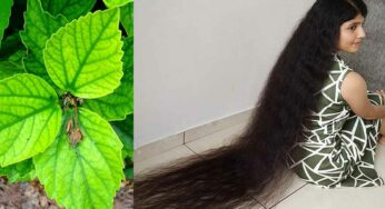 Hibiscus Leaves For Long Hair : మందార ఆకుల‌తో ఇలా చేస్తే చాలు.. మీ జుట్టు ఎంత పొడ‌వుగా పెరుగుతుందో తెలుసా..?