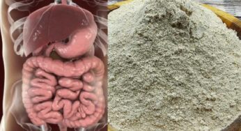 Jackfruit Powder For Constipation : పేగుల్లో దాగి ఉన్న మ‌లాన్ని బ‌య‌ట‌కు తెప్పిస్తుంది.. ఒక్క‌సారి తీసుకుంటే చాలు..!