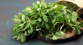 Methi Leaves In Winter : చ‌లికాలంలో మెంతి ఆకుల‌ను తింటే ఏం జ‌రుగుతుందో తెలుసా..?