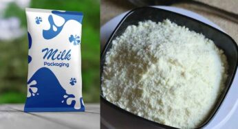 Milk Powder : బ‌య‌ట షాపుల్లో ల‌భించే పాల‌పొడి.. ఇంట్లోనే ఇలా ఈజీగా చేసుకోవ‌చ్చు..!