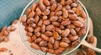 Roasted Peanuts : ప‌ల్లీల‌ను వేయించి తింటే ఎన్ని లాభాలు క‌లుగుతాయో తెలుసా..? త‌ప్ప‌కుండా తినండి..!