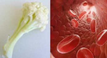 Blood Increasing Foods : వీటిని తింటే చాలు.. 2 లీటర్ల ర‌క్తం ప‌డుతుంది..!