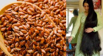 Flax Seeds For Hair Growth : వీటిని ఇలా వాడితే చాలు.. జుట్టు ఒత్తుగా పెరుగుతుంది..!