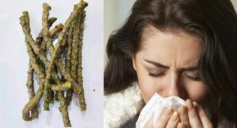 Giloy Stem For Mucus : రెండు కాడ‌లు చాలు.. దెబ్బ‌కు క‌ఫం మొత్తం పోతుంది, ద‌గ్గు, జ‌లుబు ఉండ‌వు..!