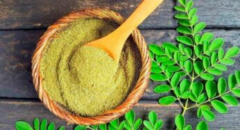 Moringa Leaves And Powder : మున‌గాకులు, వాటి పొడి ఎంతో ఆరోగ్య‌క‌రం.. ఇలా రోజూ తీసుకుంటే ఎన్నో లాభాలు..!