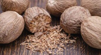 How To Use Nutmeg : జాజికాయ‌ల‌ను ఇలా వాడండి చాలు.. చెప్ప‌లేన‌న్ని లాభాలు క‌లుగుతాయి..!